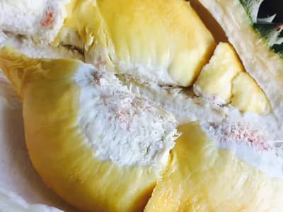 رائحة الدوريان تثير الذعر في ألمانيا.. فما قصة هذه الفاكهة المثيرة للجدل التي تسببت في إخلاء مبنى في فيسبادن؟