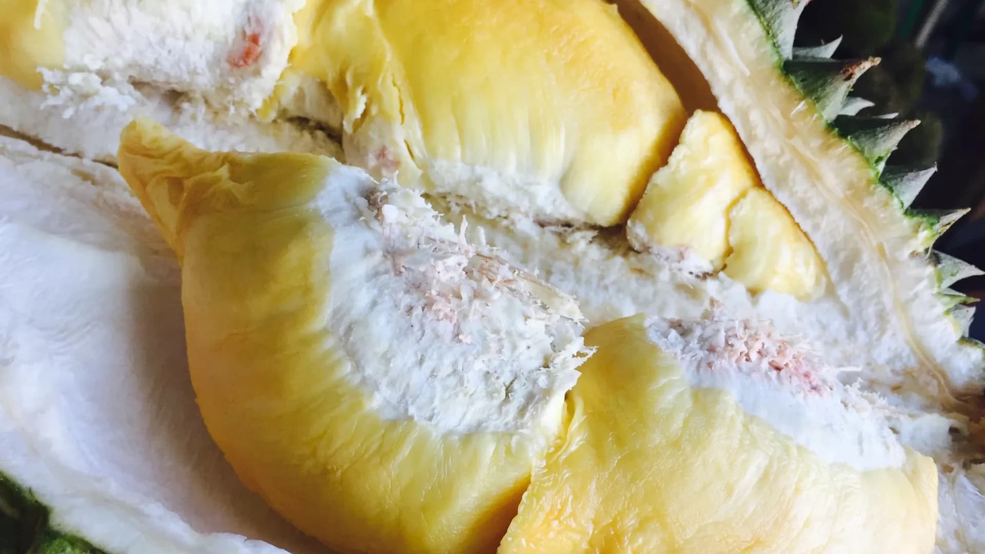 رائحة الدوريان تثير الذعر في ألمانيا.. فما قصة هذه الفاكهة المثيرة للجدل التي تسببت في إخلاء مبنى في فيسبادن؟