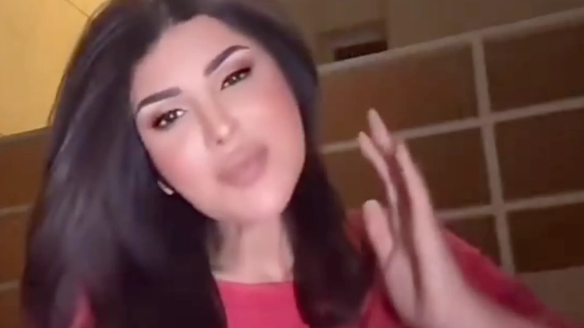 ما قصة تسجيل "ديرة بطيخ" الذي ادى الى توقيف الهام الفضالة وما اخر تطورات القضية؟